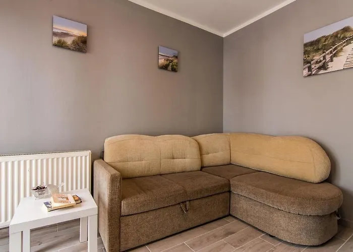 Family-friendly With Swimming Pool Krusevo, Novigrad - 21980 Апартаменты Basic